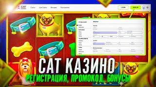 Онлайн казино Cat с быстрой регистрацией  Cat казино онлайн сайт с бонусами