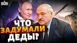 Лукашенко купил Зимбабве, переворот в Беларуси, что ждет Коленьку - Татьяна Мартынова