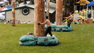 Pole Climbers at the Powell River Loggers Sports July 18th 2016