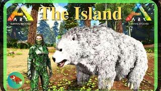 Dire Bear in the Redwoods!  ARK Survival Evolved - SOLO - The Island 2024 (EP13)