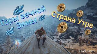 Гайд по ежедневным заданиям в Black Desert Online. 2024 год.