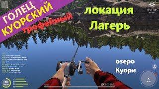 Русская рыбалка 4 - озеро Куори - Трофейный голец куорский \ Kuori Char