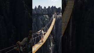 Suspension bridge