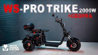 WS-PRO TRIKE CITYCOCO 2000W. НУЖЕН ЛИ? Полный ТЕСТ-ДРАЙВ + СБОРКА! Что внутри и как работает?