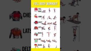 fitfat bodi