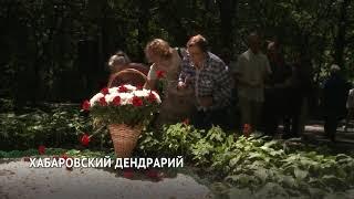 Благоустройство Дендрария продолжается в Хабаровске