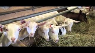 Alberta Open Farm Days