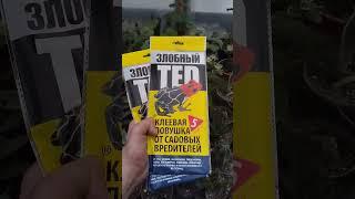 Боремся с вредителями в теплице #теплица #сад #огород