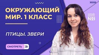 Видеоурок 7. Птицы. Звери. Окружающий мир 1 класс