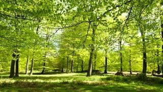Eugene Conley - Operatic Recital - Fra poco a me ricovero