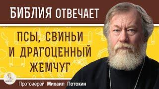 ПСЫ, СВИНЬИ И ДРАГОЦЕННЫЙ ЖЕМЧУГ. Протоиерей Михаил Потокин