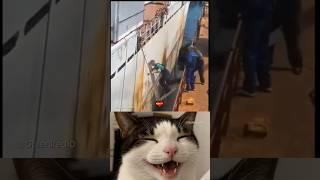 Talihsiz adam​​  #shortvideo #shorts #komik #cat #mizah #eğlence