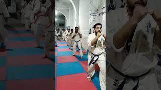 Kyokushin Kan karate training