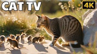 Cat TV for Cats to Watch| Adorable Mice Squabble and Squeak While Digging Burrows | 8H | Cat games