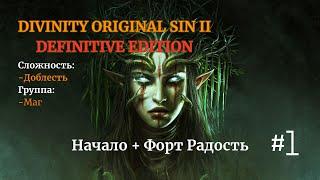 Divinity: Original Sin II [ DE ]. Соло. Сложность: Доблесть. #1