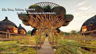 LIFE TREE TULUM,MEXICO BY DNA BARCELONA ARCHITECTS