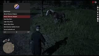 red dead redemption 2 Mod menu NightFall PC