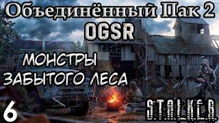 Книга Шахтёра и Артефакт Инферно - S.T.A.L.K.E.R. Объединённый Пак 2 OGSR #6