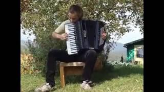 TICO TICO no fubà - accordion played outside in the garden