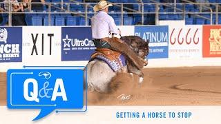 Getting a Horse to Stop - Q&A With Clinton Anderson
