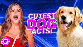 CUTEST Dog Acts on AGT EVER!