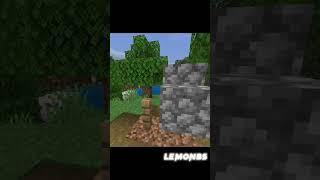 Бабка-камень в Minecraft @titwow #minecraft #titwow