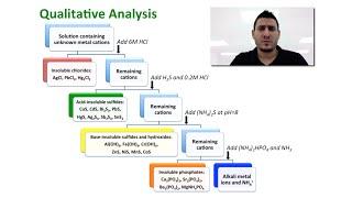 Solubility Equilibria | Qualitative Analysis & Complex Ion Equilibria.