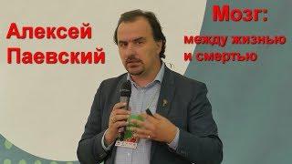 Алексей Паевский "Мозг: между жизнью и смертью"