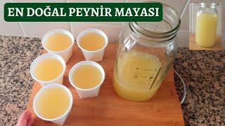 ŞIRDAN MAYASI‼️ŞİRDENEvde şırdan peynir mayası nasıl yapılır (Şirden Peynir Mayası Yapımı)