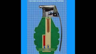 Can A Grenade's Pin Put Back #shorts #amazingfacts #facts