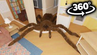 Spiders Breaks into Your House! in 360°