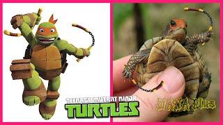  Teenage Mutant Ninja Turtles In Real Life  All Characters @WANAPlus