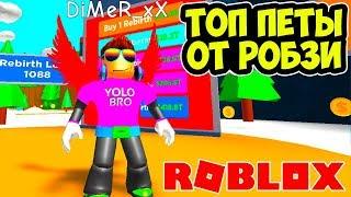 РОБЗИ ДАЛ ТОП ПЕТОВ! СИМУЛЯТОР МАГНИТА РОБЛОКС! НОВАЯ СИСТЕМА REBIRTH MAGNET SIMULATOR ROBLOX