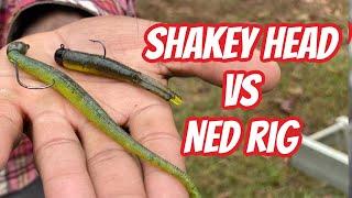 Difference Between Shakey Heads and Ned Rigs