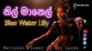 Nil Manel | Blue water Lily | Rivega Dance Studio | Rangika J | Fusion Dance | Sri Lankan Dance