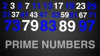 Prime Numbers Rap Song Typography (Math)