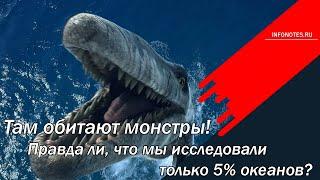 Там обитают монстры! Правда ли, что мы исследовали только 5 процентов океанов?