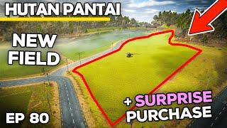 A SURPRISE PURCHASE & A NEW FIELD | Farming Simulator 25 - Hutan Pantai | Episode 80