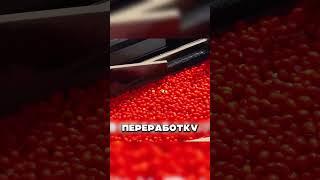 САМЫЙ БОГАТЫЙ ДАГЕСТАНЕЦ 