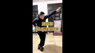 Chinese traditional martial arts, Tongbei fist # Tongbei fist traditional person Zhao Honggang # Pi
