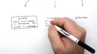 Cardiac Output Part 1 Intro and SV