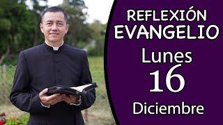 Evangelio de Hoy Lunes 16 de Diciembre de 2024  Lectura y Reflexión