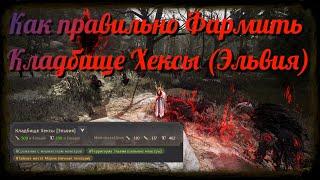 Black Desert / BD: Как правильно фармить Кладбще Хексы (Эльвия Кальфеон)