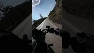 The New #SportsterS Thrives Here #HarleyDavidson #sportster #motorcycle #canyon #riding #1250