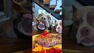 Hoje tem Bife 