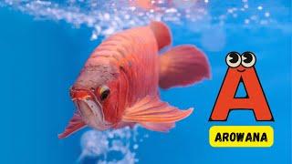 Singing Seas ABCs | Sea Animal Alphabet Song for Kids | #abcd #kids #learning