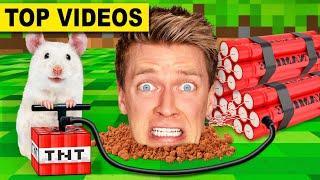 Best Hamster Maze Challenges  Minecraft vs Pancake Art - How To Escape Extreme Human Traps & Pranks