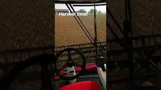 FS22- Harvesting Sorghum #fs22 #farmingsim22 #sorghum #harvest #caseih #farming #subscribe #like