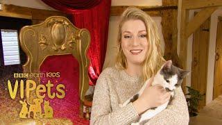 Mermaid Grace's Us With Her Cat! | VIPets | BBC Earth Kids