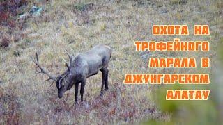 Maral 2018 conservation hunting by Prohunt.kz - Марал 2018, трофейная охота с компанией Prohunt.kz